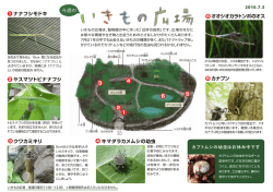 2016年7月3日号