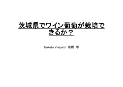 茨城県でワイン葡萄が栽培で きるか？