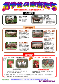 牛の種類 鶏の種類 豚の種類