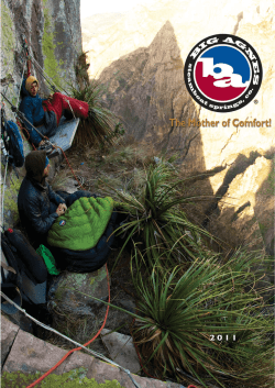 BIG AGNES