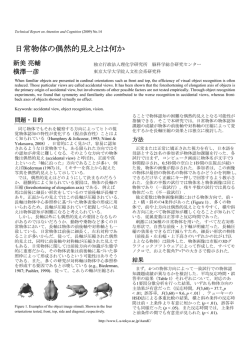 日常物体の偶然的見えとは何か