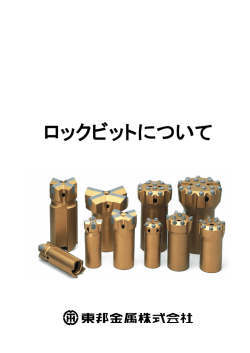 ロックビットについて