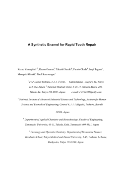 PDFファイル・320KB