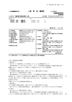 特許公報PDF（特許第3870976号）