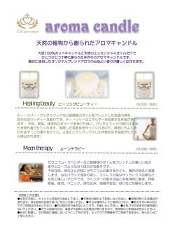 Healing beauty ヒーリングビューティー Moon therapy ムーンテラピー