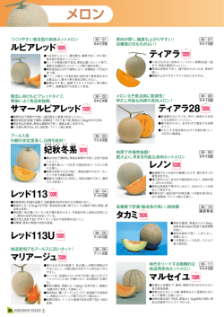 メロン