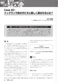Case 20： ドッグランで他の犬たちと楽しく遊ばせるには？