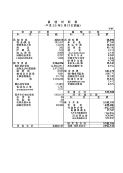 貸 借 対 照 表 (平成 25 年3 月31日現在)