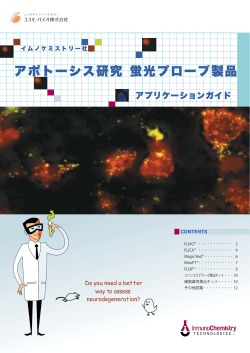 PDFダウンロード