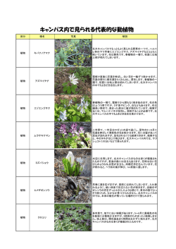 生きものミニ図鑑（PDF）