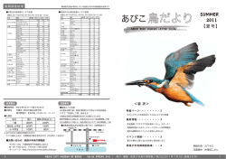 あびこ鳥だより