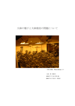 大麻の種子と大麻栽培の問題について