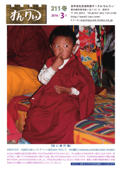 211 号 - わんりぃ