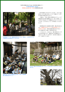 飛騨高山と越前大野・勝山の巨樹を訪ねる旅