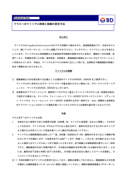 CELLine フラスコを用いた遺伝子組み換えCHO細胞