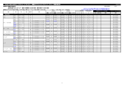 STREET RIDE DAMPER > > / 調整式