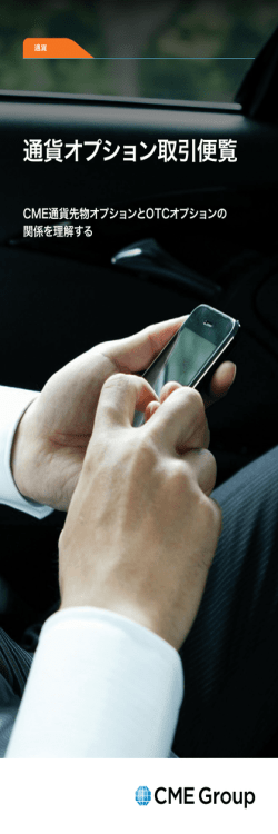 通貨オプション取引便覧