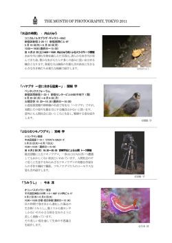 THE MONTH OF PHOTOGRAPHY, TOKYO 2011