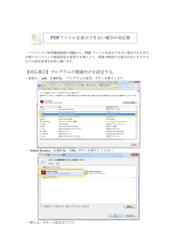 PDFファイルを表示できない場合の対応策