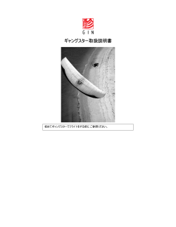 機体 - Gin Gliders