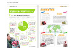 海外の花贈り事情