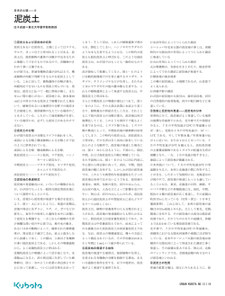 泥炭土