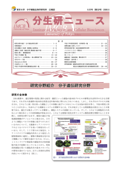 2006年5月発行 - 東京大学分子細胞生物学研究所