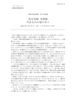 岩合光昭 写真展 やきものの里のネコ