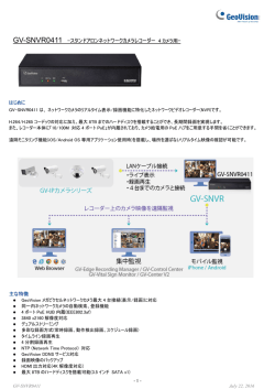 GV-SNVR0411 -スタンドアロンネットワークカメラレコーダー