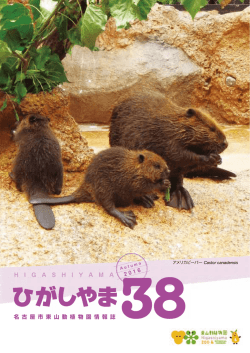 PDF ダウンロード - 東山動植物園の遊園地