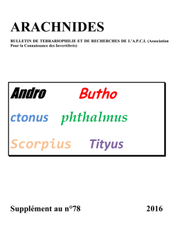 dictionary of scientific scorpion names
