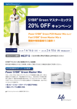 Power SYBR® Green PCR Master Mix