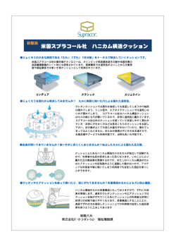 お尻のカム