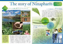 The st。ry 。f N主napharm