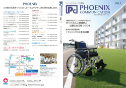 Vol. 1 - フェニックスグループ