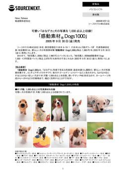 感動素材® Dogs1000