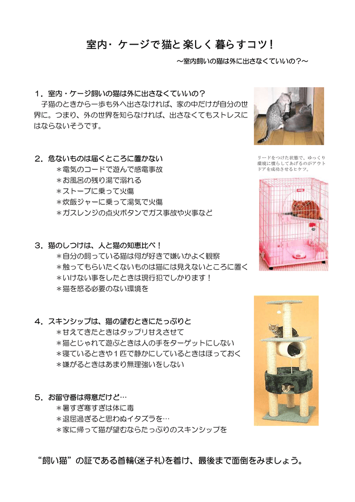 室内・ゲージで猫と楽しく暮らすコツ（PDF：37.6KB）