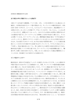 20090201 戦略経営者 No268 女子高生の声に耳傾け大ヒッ卜を飛ばす