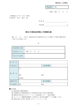 2016 年度助成事業上半期報告書 - 一般財団法人 ツネイシみらい財団