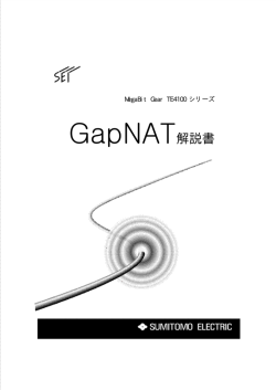 GapNAT解説書