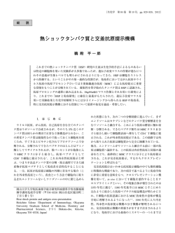 熱ショックタンパク質と交差抗原提示機構
