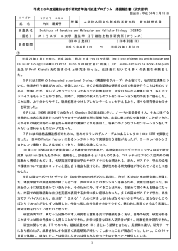 1 平成23年度組織的な若手研究者等海外派遣プログラム 帰国報告書