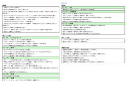 ルールサマリー