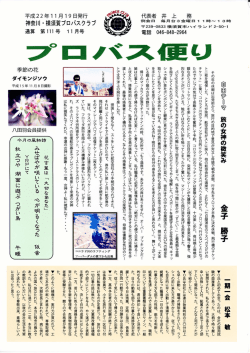第111号 - dnsip