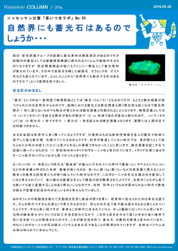 自然界にも蓄光石はあるので しょうか