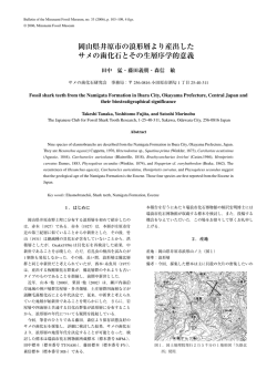 岡山県井原市の浪形層より産出した サメの歯化石とその生層序学的意義