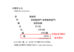 分類学上は， 界 門 綱 目 科 属 種 動物界 脊索動物門（脊椎動物亜門