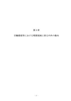 第3章(PDF:258KB)
