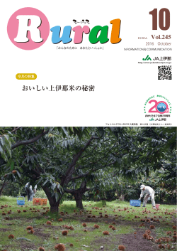 おいしい上伊那米の秘密