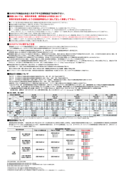 カスタマイズに関するご注意 - カワサキモータースジャパン